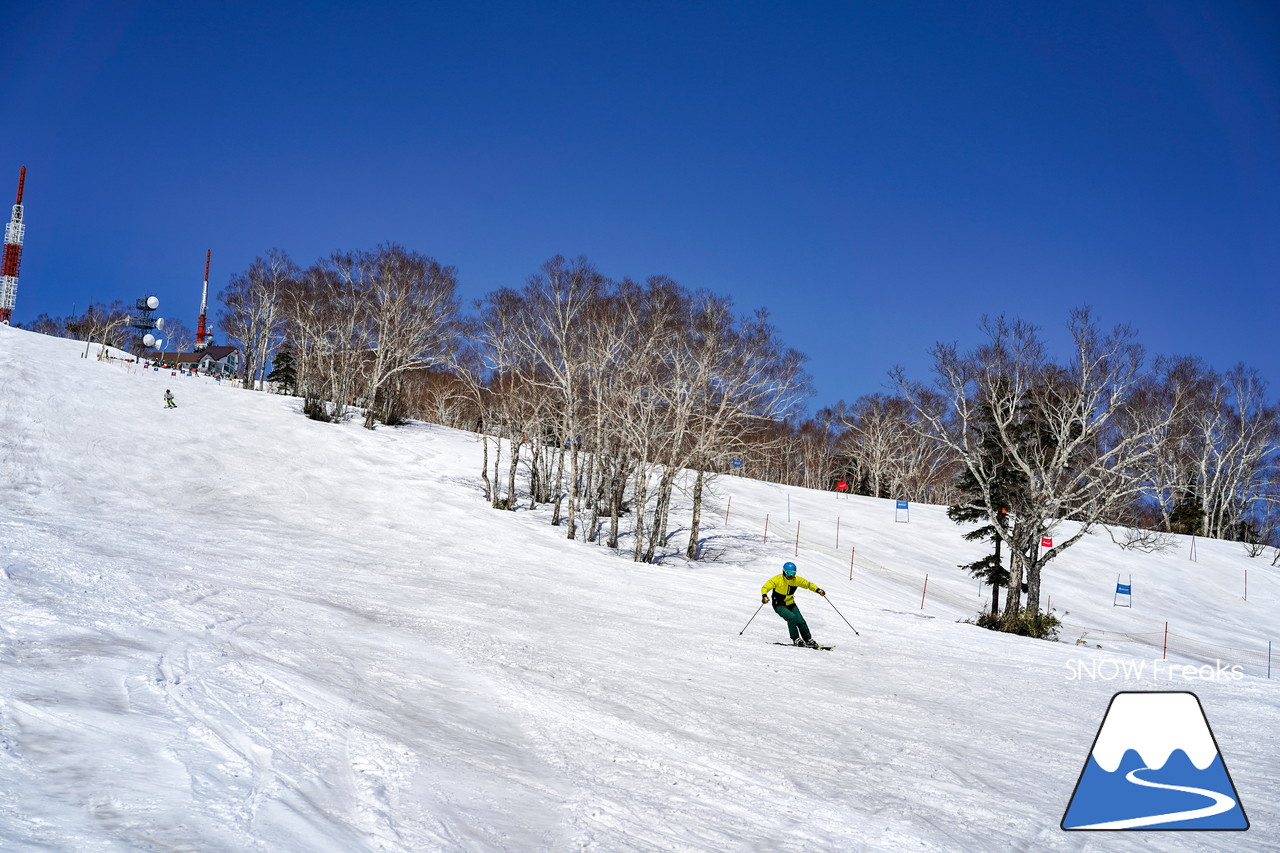 サッポロテイネ　真っ白な雪、澄んだ青空。ゴールデンウィーク２日目は、旭岳～羊蹄山まで見渡せる絶好の春スキー＆スノーボード日和に☆